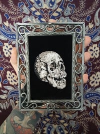 Small Skull Study