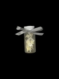 tilapia fish vertebrae bones jar