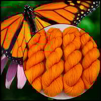 Image 1 of Monarch
