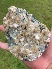 Image 15 of UV Cookie Calcite Specimen #1839