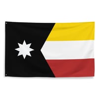 Minnesota AIM Flag