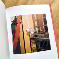 Image 4 of Clémentine Schneidermann - Séte #20