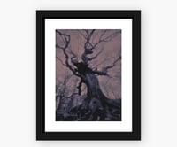 Medium Framed ‘Yggdrasil’ Print