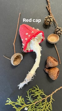 Image 3 of Red cap mushroom brooch 