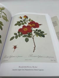 Image 4 of The Book of Flowers. 45th Ed.