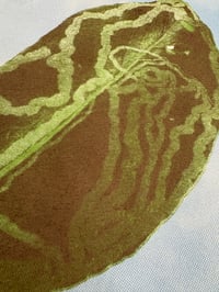 Image 3 of I AM A LEAF T SHIRT