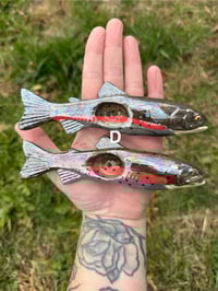 Image 12 of Trout -SECONDS