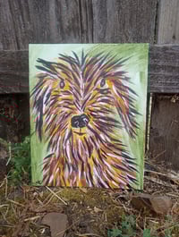 Image 2 of Scruffy Dog 