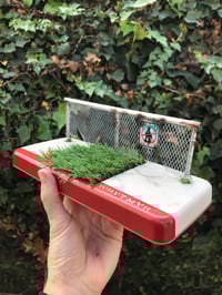 Image 2 of Sidewalk with grass gap center and chain link fence 
