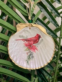 Image 1 of Cardinal Scallop Shell Ornament