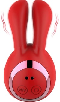 Image 1 of  Silly Rabbit 
