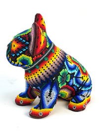 Image 4 of French Bulldog Puppy Vol 3 008
