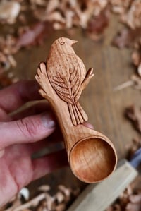 Image 4 of Robin~ Coffee Scoop