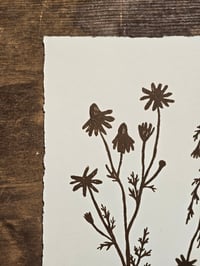 Image 2 of Matricaria • Linocut paper print