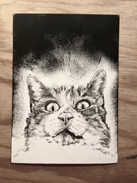 Image 1 of Postcard pet portrait