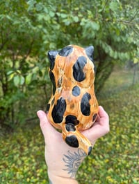 Image 8 of Medium Kittens 