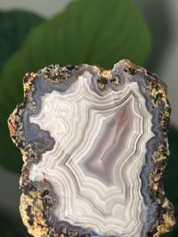 Image 3 of DOUBLE SIDED LAGUNA AGATE SLICE I WITH PARALAX