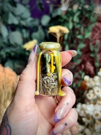 Image 3 of Ostara/Spring Equinox Spell Jar