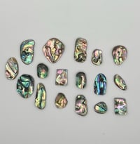 Image 4 of Abalone option 7