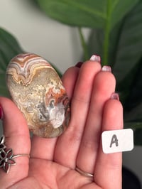 Image 2 of CHOOSE YOUR OWN MEXICAN LACE AGATE PALMSTONES 