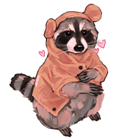 Raccoon Sticky 🎀 