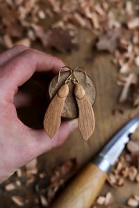 Image 2 of Maple/Sycamore Seed ~Earrings 