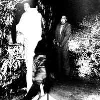 Image 5 of Secret Photography, this is the Infrared!