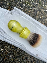 Image 5 of Palo Verde