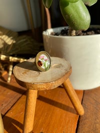 Image 3 of Ladybird garden rings