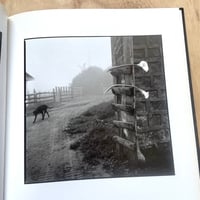 Image 4 of Hiroshi Watanabe - Findings (Signed)