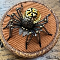Image 2 of Jingle spider (b, 3.5 inches)