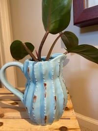 Image 2 of 'Red Imperial' Philodendron in Owl Pitcher