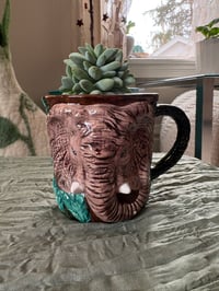 Image 1 of xSedeveria 'Blue Burrito' succulent in Elephant Mug