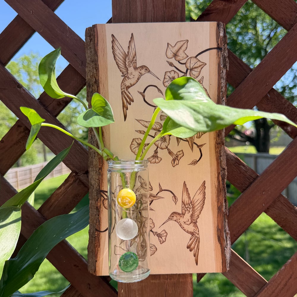 Image of hummingbird twins propogation station wood art