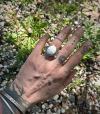 Image 2 of Picture Jasper ring - size 7.25
