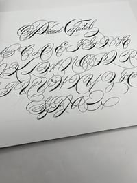 Image 5 of THE SIGN & LETTERING BOOK