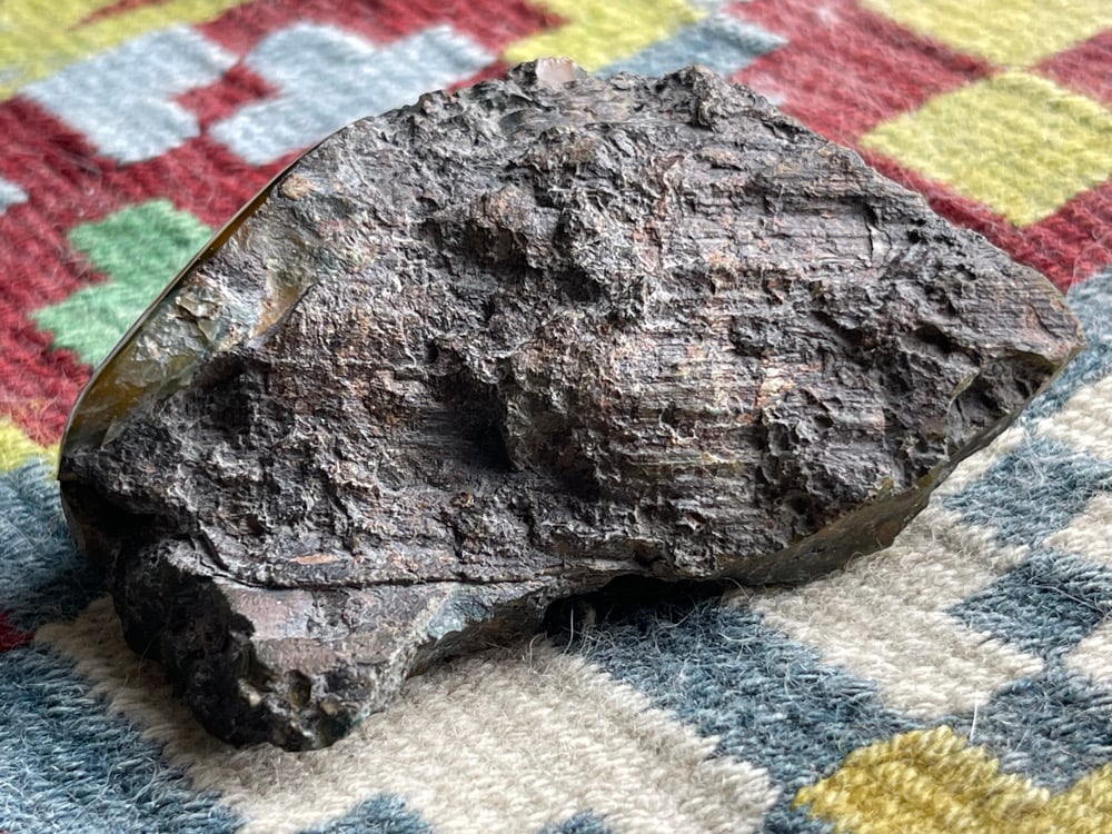 Orange and Green Agatized Wood