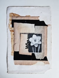 Image 2 of BULB GROWING - COLLAGE (UNIQUE)