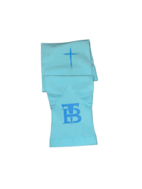 Image 1 of Baby blue sleeve baby blue TB logos