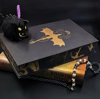 Image 1 of Fourth Wing - Hand Stenciled Book