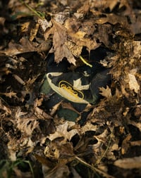 Image 1 of From The Dirt Hat