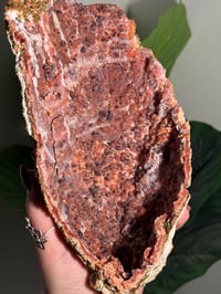 Image 3 of XL PINK CHALCEDONY GEODE -MOROCCO- A