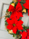 Image of Traditional Poinsettia 