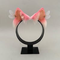 Image 1 of Pink Blossom Fairy Kitten
