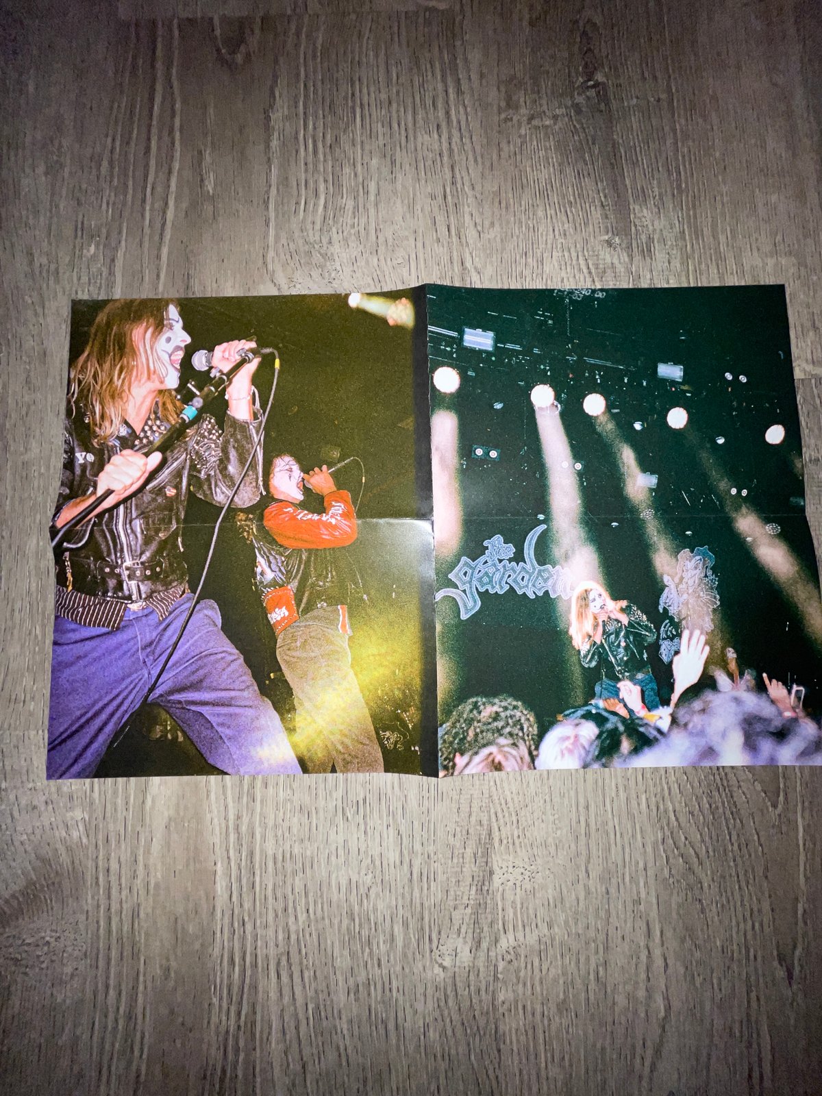 THE GARDEN POSTER 4