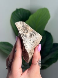 Image 1 of SELF STANDING DENDRITIC FELDSPAR -ITALY- D