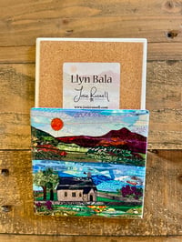 Llyn Bala Coasters