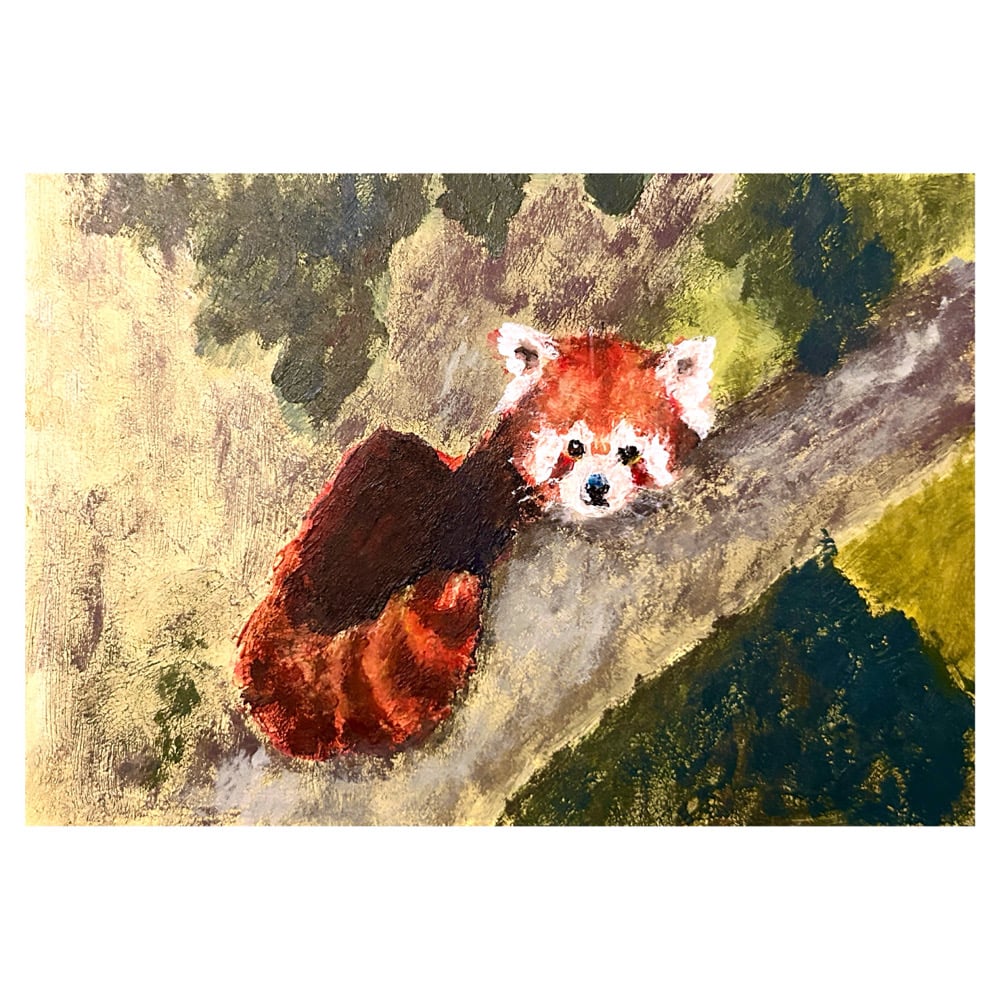 Image of ‘Somewhere