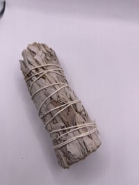 Image 2 of California White Sage 