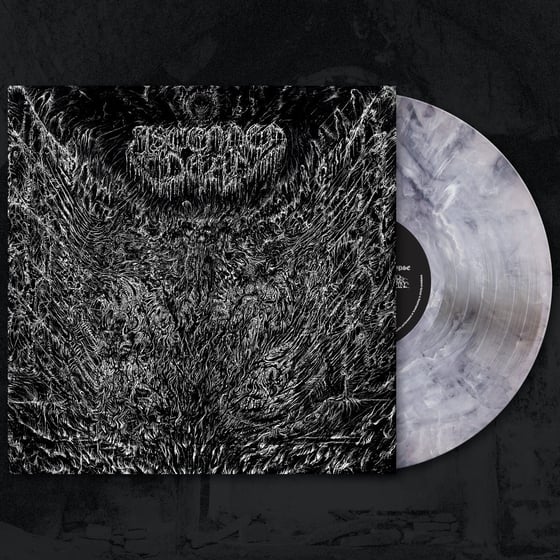 Image of Ascended Dead - Evenfall Of the Apocalypse LP